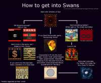 Flowchart swans.png