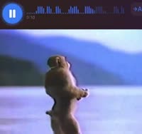 1756834931364.mp4