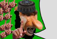 16937843553230.jpg