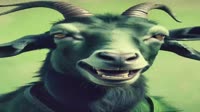 metaloh.mp4