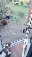 асимметричный ответ.mp4