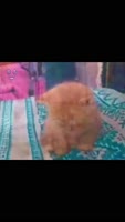 video2025-07-0914-09-24.mp4