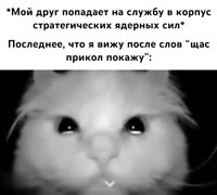 1753581292406.mp4