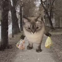video2023-12-1917-59-02.mp4