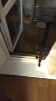 document5460709741841908582.mp4
