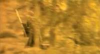 877171f1be621f3c4107bd674e048d2f.gif