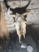 IMG20250724152622583.jpg