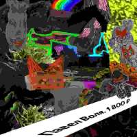 IMG4838.jpeg