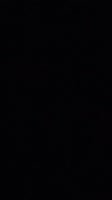 video2025-08-1421-41-01.mp4