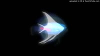 koronba- 0354.mp4