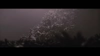 IGORRR - INFESTIS.mp4