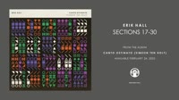 Erik Hall - Canto Ostinato (Simeon ten Holt) - Sections 17-30.mp4