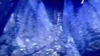Wong Kar Waï - Dior - Midnight Poison.mp4