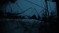 Withered Land - Through the Winterholds Blizzard.mp4