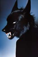 Wolf.jpg