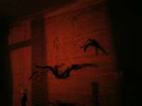 IMG20230314013140.jpg