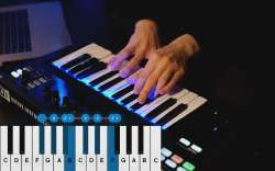 61350.jpg.webp