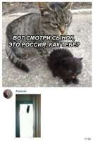 029fdf14ae800544b876323025db1dd5.jpg