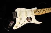 Fender-American-Standard-Stratocaster-2012-MN-130-BK01.jpg