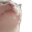 16073536746260.gif