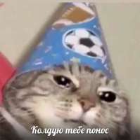 15983728820610.jpg