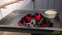 VID20210213132203662.mp4