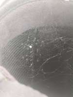 IMG20250629140259.jpg