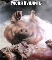 русня бурлить.mp4