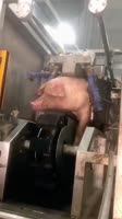 1000059344.mp4