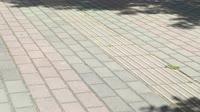 VID20250523131838.mp4