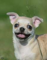 уу.webp