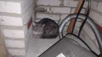 IMG20250506204827.jpg