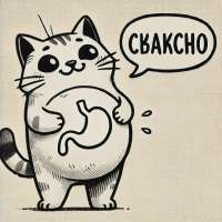 1747469665014.webp