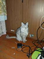 IMG20250515180658.jpg