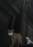2.webm