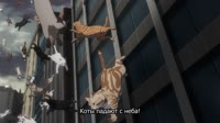3.webm