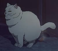 1245767997096768.webm