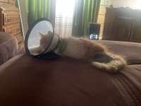 IMG4638.jpeg