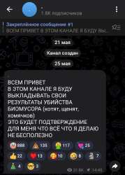 IMG20250527192433158.jpg