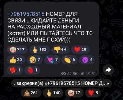 IMG20250527192436392.jpg