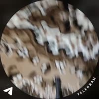 VID20250527233946688.mp4