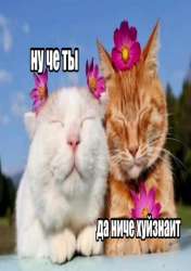 IMG20250623193035979.jpg