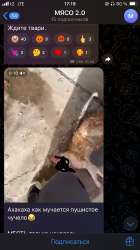 IMG7075.jpeg
