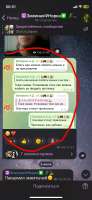 IMG1609.jpeg