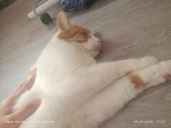 IMG20250709175130.jpg