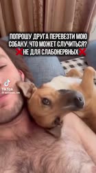 85d1928b4b81726d35e96e4714766e0b.mp4
