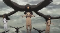 12354767975548856.webm