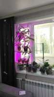IMG-20250601-WA0368.jpg