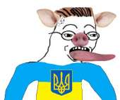 16157277017500.png