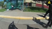 16240073573291.mp4